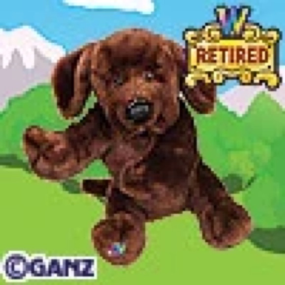WEBKINZ Ganz LAB BLACK & CHOCOLATE HM136 & HM138 hang & but Tag No Code retired - Picture 9 of 16